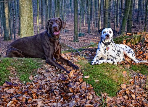 Photo von Stephanie-Christiane 