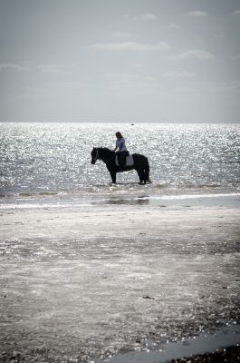 Photo von Alethia Berger
